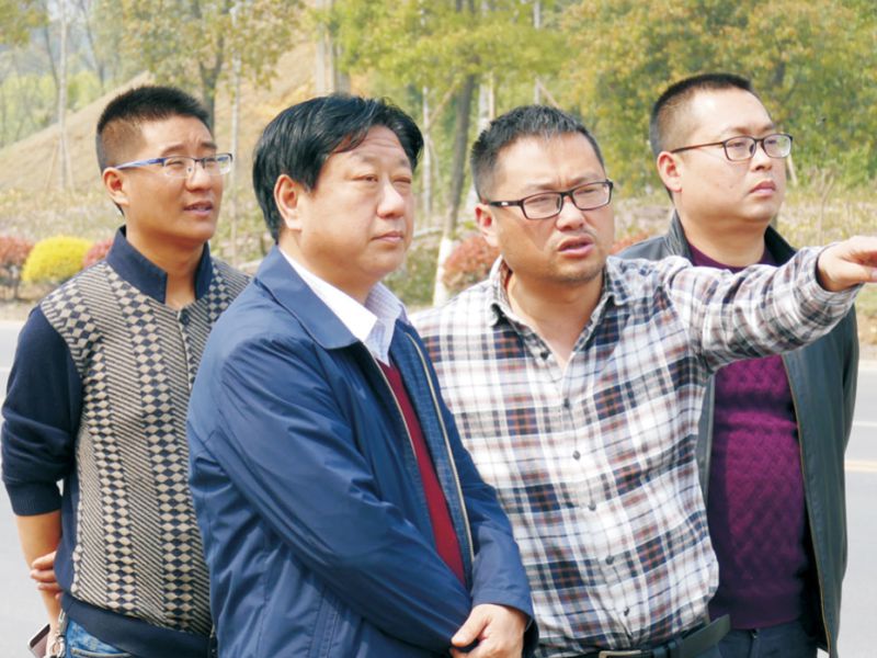 文聯(lián)主席虞潛指導納溪區(qū)城市道路景觀品質提升工程